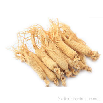 Poudre d&#39;oligopeptide de ginseng pour anti-âge